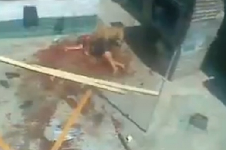 Saját pitbullja támadt egy nőre (+18 videó)