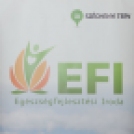 EFI - Egészséges táplálkozás népszerűsítése programsorozat (fotó: Horváth Attila)