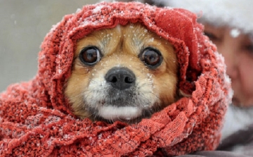 Kutya hideget jósolnak idén télre a meteorológusok