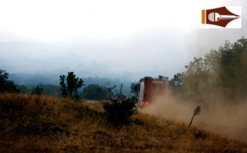 Harminc hektáron égett le az erdő a Bakonyban