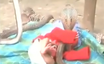 Kígyók őrizték a csecsemő álmát (videó)