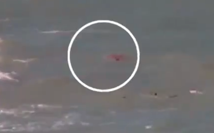 A vízimentők orra előtt tépte le a cápa a nő lábát (+Videó)