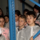 Kőrisfacsemetéket ültettek a diákok a Nolato Magyarország Kft telephelyén