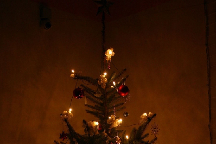 Pillangó Óvoda és Családi Napközi, Karácsonyi ünnepség (Fotó: Stipkovits Veronika)
