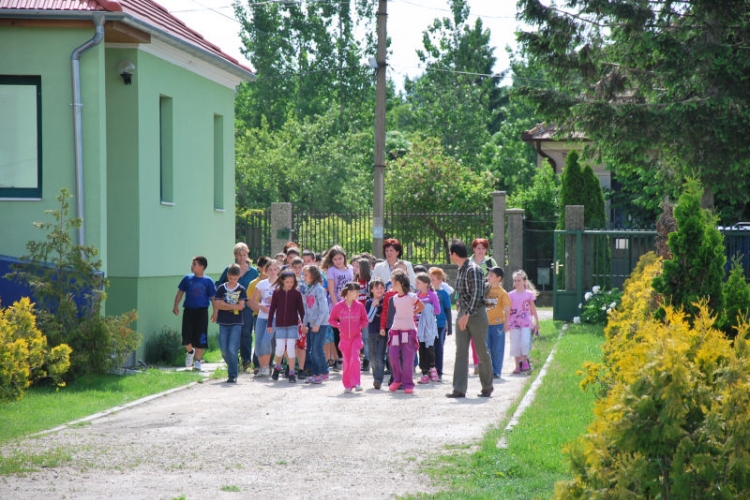 Erdei iskola Arakon (Fotó: Nagy Mária)