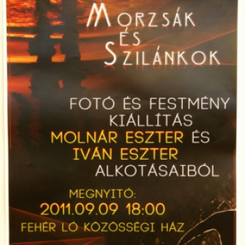 Morzsák és szilánkok-Fotó és festmény kiállítás  (Fotózta: Nagy Mária)