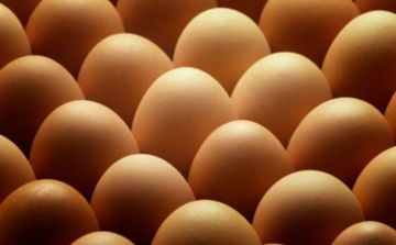 Könnyebb összehasonlítani a tojások árát