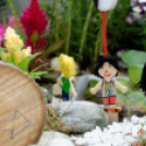 Apró kezek, csodakertek kertépítő verseny (Fotó: Horváth Attila)