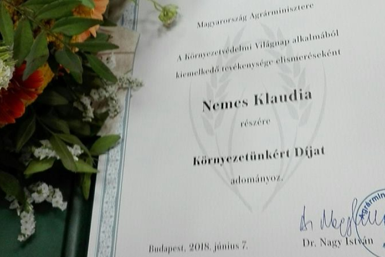 Kiemelkedő tevékenységéért elismerésben részesült a SzigetKÖZ kommunikáció