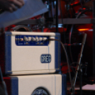 Majális a Wittmann Antal parkban / délután - este /