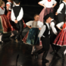 Nyárcsalogató (Fotó: Nagy Mária)