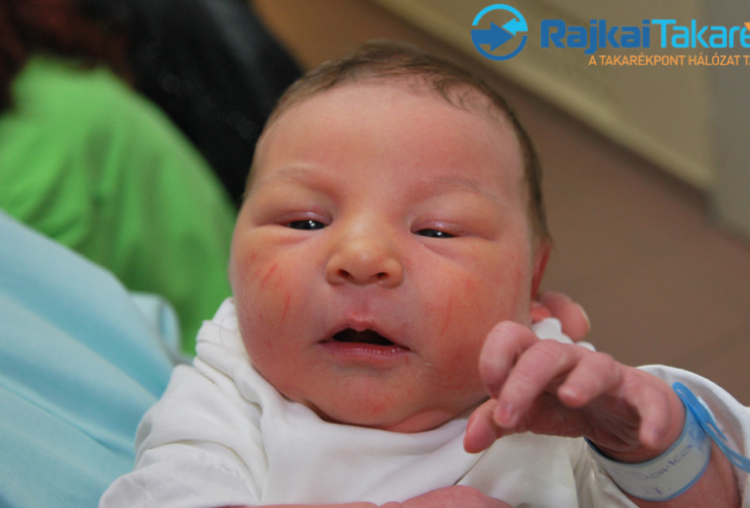 Köteles Dorka, 3710 gr. Kimle