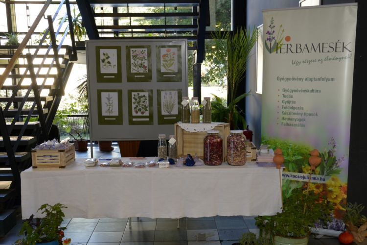 III. Szigetközi Gyógynövénynap megnyitó