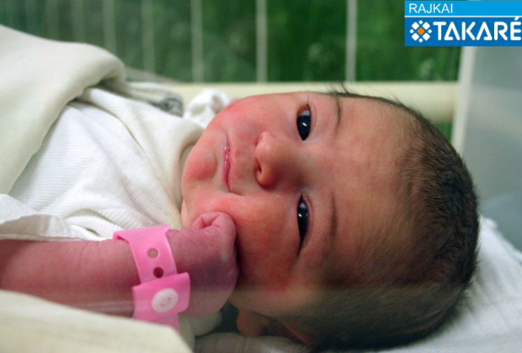 Nyerges Vivien, Bősárkány