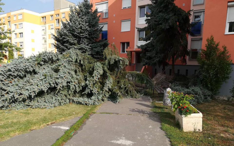 Még vasárnap is munkát adott a tűzoltóknak a csütörtöki vihar