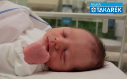 Polacsek István Benő, Dunasziget