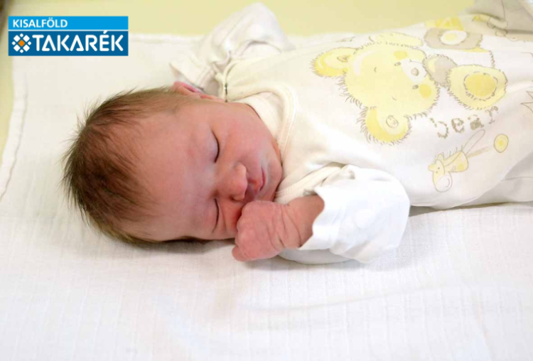 Horváth Hanna, Fertőendréd