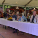 Szigetköz ízei, Vármegye borai Fesztivál (vasárnap) (Fotó: Horváth Attila)