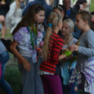 Szigetköz ízei, vármegye borai fesztivál - péntek (Fotó: Nagy Mária)