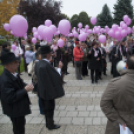 Egészség Hídja Összefogás - Lajtahidi séta