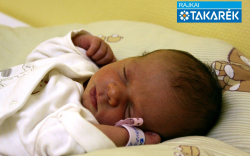 Kedves Inez, Sarród