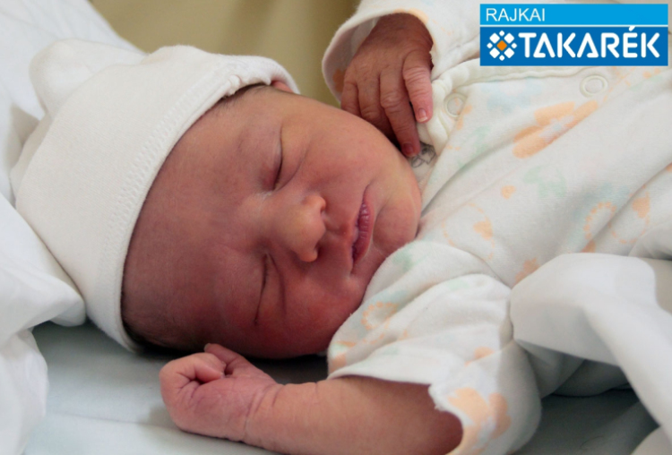 Molnár Krisztián, Sopron