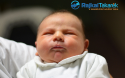 Danavár Zalán, Mosonmagyaróvár