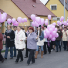 Egészség Hídja Összefogás - Lajtahidi séta