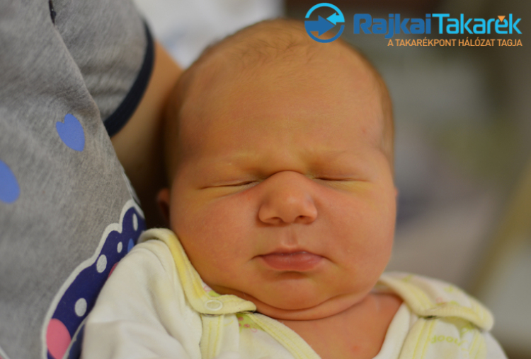 Steiner Göncöl, Halászi-Arak