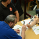 Makett Kiállítás Mosonmagyaróvár