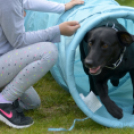 Pillangó Óvoda gyermeknap 2