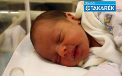 Takács Lilla, Csorna