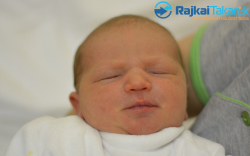 Fűzfa-Borka Panna, 3450 gr. Móvár