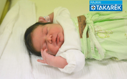 Gyovai Rozi, Bősárkány