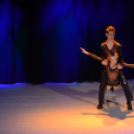 Jótékonysági Műsor