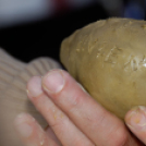 Szent István Napok 2015 (csütörtök) (Fotó: Horváth Attila)