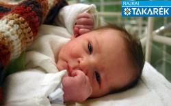 Kránitz Levente, Farád