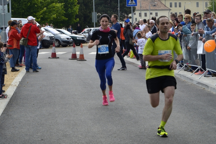 XIV. Greiner Szigetköz Félmaraton