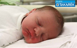 Denk Dániel, Máriakálnok