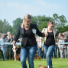 CAC kutyakiállítás (Fotó: Nagy Mária)