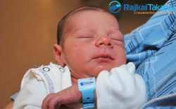 Wünsch Ezel, 3100 gr. Mosonmagyaróvár