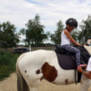 Pillangó Óvoda lovas nap és piknik (Fotó: Stipkovits Veronika)