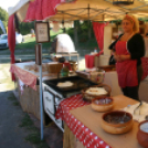 IX. Szigetköz ízei, Vármegyék borai Fesztivál (fotó: Stipkovits Veronika)