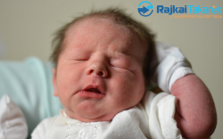 Domonkos Bendegúz, 3540 gr. Móvár