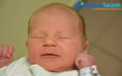 Németh Fanni, 3360 gr. Bősárkány