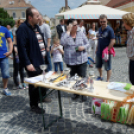 Apró kezek, csodakertek kertépítő verseny (Fotó: Horváth Attila)