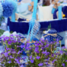 Virágzó Város Mosonmagyaróvár 2. nap (Fotó: Stipkovits Veronika)