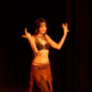 Japán Kert (Fotó: Horváth Attila)