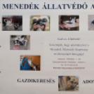 Jótékonysági koncert a Menedék Állatvédő Alapítvány részére (Fotó: Horváth Attila)