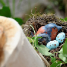 Apró kezek, csodakertek kertépítő verseny (Fotó: Horváth Attila)